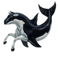 wild horse orca