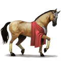 pony australian pony light grey