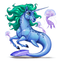 unicorn pony newfoundland pony dark bay