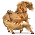 riding horse purebred spanish horse dapple grey
