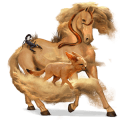 pony australian pony liver chestnut