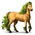 riding horse brumby roan