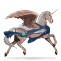riding horse arabian horse dapple grey