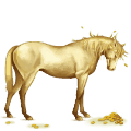 riding horse mustang mouse grey