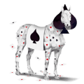 riding unicorn cremello