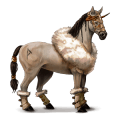 riding horse palomino