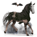 draught horse percheron dapple grey