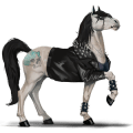 riding horse tennessee walker dark bay
