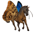 riding unicorn purebred spanish horse liver chestnut
