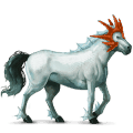 riding horse dapple grey