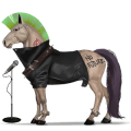 riding horse mustang black