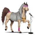 riding horse arabian horse fleabitten grey