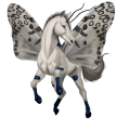 riding horse purebred spanish horse light grey