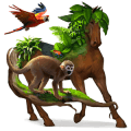 riding horse arabian horse chestnut