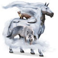 riding horse marwari mouse grey
