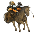 riding horse bay