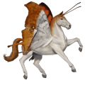 riding horse quarter horse chestnut