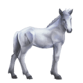 divine horse greyfell   2