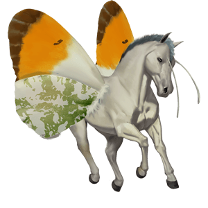 riding pegasus irish hunter cremello