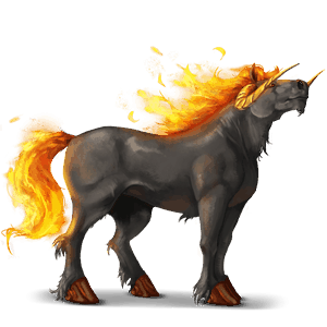 unicorn pony newfoundland pony roan