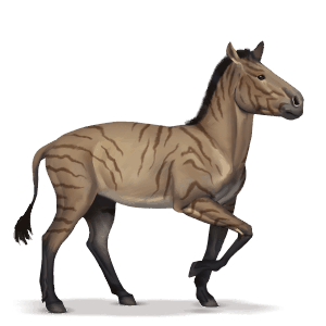 prehistoric horse hipparion