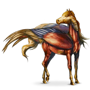 bird wandering horse phasia