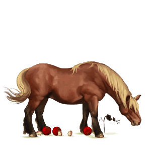 riding unicorn mangalarga marchador dapple grey