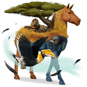 riding unicorn arabian horse strawberry roan