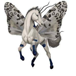 riding unicorn mangalarga marchador dapple grey