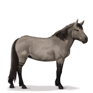 prehistoric horse tarpan