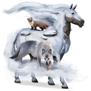 riding horse arabian horse roan
