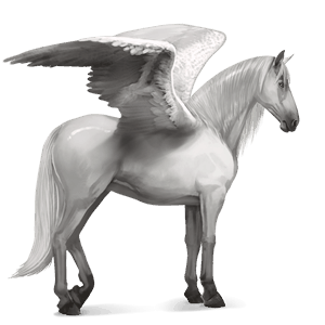 pegasus arabian horse dapple grey