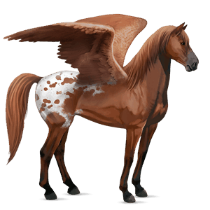 pegasus mustang chestnut spotted blanket