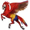 wild horse parrot