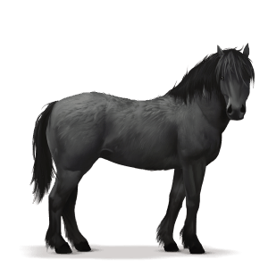 prehistoric horse forest horse