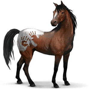 wild horse spanish mustang